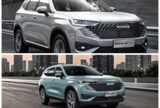 Haval H6 Hybrid Resmi Mengaspal: Ancaman Baru SUV Jepang yang Bawa Teknologi Cerdas dan Performa Mesin Buas!