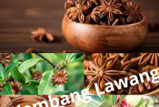  Manfaat Bunga Lawang untuk Kesehatan, Yuk Simak!