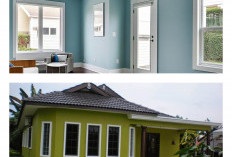 Teras Rumah Terlihat Lebih Mewah! Coba 6 Kombinasi Warna Cat yang Bikin Adem Dipandang