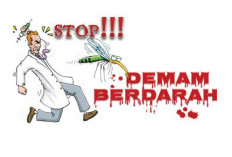 Kasus DBD di Sumsel Capai Ribuan, Angka Kematian 0,54 Persen