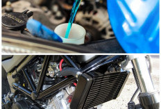 Agar Motor Tak Overheat: Panduan Lengkap Fungsi Radiator dan Cara Merawatnya
