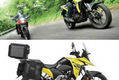 Tampil Modern dan Tangguh, Suzuki V-Strom SX 2025 Siap Menaklukkan Jalanan