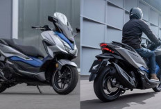 Honda Forza 250: Ini Kelebihan dan Kekurangannya Secara Lengkap!