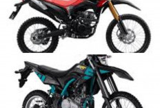  Rekomendasi Motor Kopling Andal 2026, Pilihan Tepat untuk Medan Menanjak