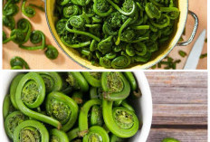 Tak Banyak yang Tahu, 7 Manfaat Sayur Pakis untuk Kesehatan yang Sayang Dilewatkan