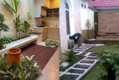 Halaman Belakang Rumah Sederhana: Ide Segar untuk Suasana Nyaman dan Hijau!