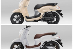 Andalan Harian! Honda Scoopy 2026: Mesin Responsif, Konsumsi BBM Super Irit, dan Suspensi Empuk