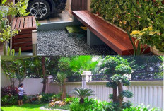Taman Depan Rumah Minimalis Modern: Ide Elegan untuk Membuat Eksterior Lebih Menawan