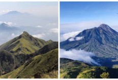 Gunung Merbabu Berada di Mana? Simak Lokasi, Jalur Pendakian, dan Pesonanya