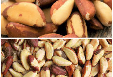 8 Khasiat Kacang Brazil untuk Tubuh, Kaya Nutrisi dan Mudah Dikonsumsi