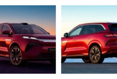 Revolusi Otomotif Global! BYD Atto 8 Meluncur Bawa Teknologi Kilat, Ngecas Mobil Listrik Cuma Hitungan Menit 