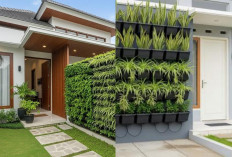 Kebun Hidroponik Rumahan yang Sederhana dan Cocok untuk Halaman Kecil!