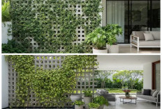 Teras Roster Modern dengan Tanaman Rambat: 7 Inspirasi Sejuk dan Estetis untuk Hunian Masa Kini