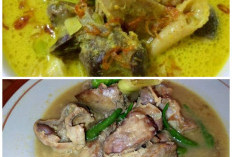 Sajian Rumahan Favorit, Resep Opor Sayur Ati Ampela Lezat untuk Menu Keluarga!