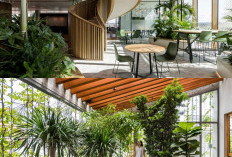 Desain Biofilik Kian Populer, Ini Alasan Rumah Penuh Tanaman Dipercaya Bikin Umur Lebih Panjang