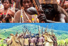 Menelusuri Sejarah Suku Mee! Mengenal Asal Usul, Kekayaan Budaya, dan Tradisi Unik Masyarakat Pegunungan Papua