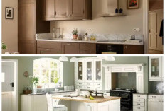 Tak Membosankan! Inspirasi Warna Cat Dapur agar Memasak Jadi Lebih Seru