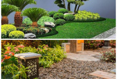 Inspirasi Taman Depan Rumah Kecil yang Cantik dan Mudah Dirawat
