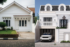 Inspirasi Desain Rumah Minimalis Putih yang Elegan dan Lapang!