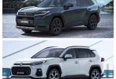 Dapat Menempuh Jarak 100 Km dengan Tenaga Listrik, Suzuki Perkenalkan SUV Baru yang Mirip dengan Toyota RAV4 