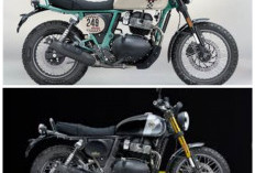 Royal Enfield Bear 650 Resmi Masuk RI: Scrambler Klasik Gaya Petualang dengan Harga Menarik