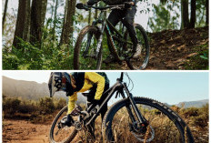 Harga Bersahabat, Performa Gahar! 5 Sepeda Gunung Rp700 Ribuan untuk Jalan Ekstrem