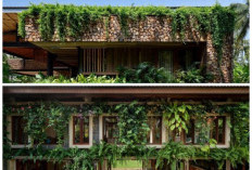 11 Ide Dekorasi Pot Tanaman Rambat untuk Mempercantik Rumah agar Terasa Lebih Hijau dan Menenangkan