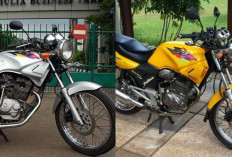 Kelebihan dan Kekurangan Honda Tiger, Motor Legendaris yang Pernah Jadi Idaman!