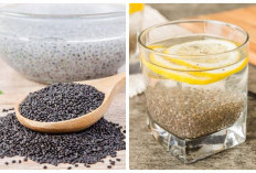 15 Manfaat Chia Seed bagi Kesehatan, Bisa Mendukung Program Diet
