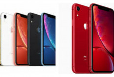 Apakah iPhone XR Masih Layak Dibeli Setelah Peluncuran iPhone 17?