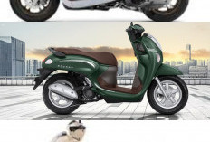Honda Scoopy Terbaru Tampil Makin Canggih dan Stylish, Deretan Keunggulannya Bikin Sulit Berpaling