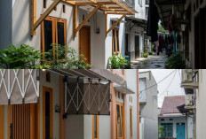 Gang Sempit Tetap Cantik! Ini 9 Model Kanopi Minimalis yang Bikin Rumah Kamu Terasa Luas dan Adem