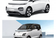 Daftar Harga Mobil Listrik Terbaru Januari 2026: Siap-siap Harga Naik Tanpa Insentif Pajak!