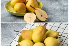 4 Manfaat Buah Pir untuk Kesehatan, Buah Manis yang Kaya Serat dan Baik Dikonsumsi Setiap Hari