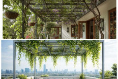 8 Desain Kebun Rambat Estetik yang Bisa Jadi Kanopi Alami di Rumah Anda