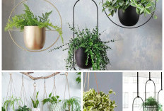 5 Cara Cerdas Menata Tanaman Bunga Kecil di Rumah Biar Makin Cantik dan Instagramable!