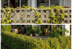 Hunian Lebih Asri! Inspirasi Teras Rumah dengan Pagar Tanaman Hidup Tren 2026