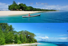 Jelajahi 5 Pulau Eksotis di Morotai, Surga Laut yang Belum Banyak Terjamah Wisatawan