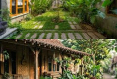 7 Ide Taman Rumah yang Mendukung Kegiatan Bersantai dan Membaca