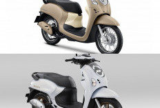 All New Honda Scoopy Cocok Buat Anak Muda? Simak Kelebihan dan Kekurangannya