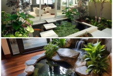 Hadirkan Kedamaian di Rumah: 5 Inspirasi Kolam Ikan Indoor yang Estetik dan Modern