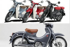 Honda CT125 Hunter Cub 2026 Rilis Warna Baru yang Lebih Gahar, Siap Jadi Incaran Kolektor Berikutnya?