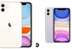Masih Jadi Incaran di 2026, Apakah iPhone 11 Masih Layak Dibeli Sekarang? Ini Alasan Sebenarnya!
