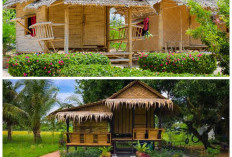 Pesona Rumah Bambu di Desa: 9 Desain Sederhana yang Asri dan Menenangkan!
