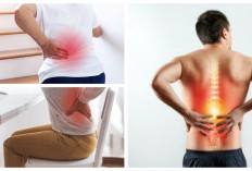 Rahasia di Balik Nyeri Pinggang: Penyebab dan Solusinya untuk Aktivitas Tanpa Sakit