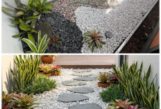 Taman Kering Minimalis Outdoor: Solusi Cantik, Praktis, dan Anti Ribet Perawatan