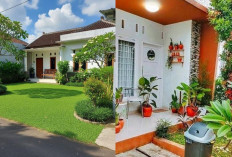 Keren & Terjangkau! Ide Rumah Murah Tanpa Pagar yang Hits di 2025