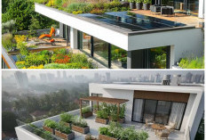 Oase di Atas Awan: Panduan Lengkap Rooftop Garden untuk Hunian Kota yang Hijau dan Nyaman