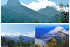 Sejarah Gunung Lawit: Jejak Alam, Budaya, dan Legenda di Perbatasan Kalimantan!