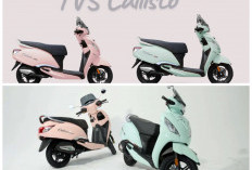 TVS Callisto 2026 Resmi Meluncur, Skutik Modern dengan Spesifikasi dan Fitur Terbaru